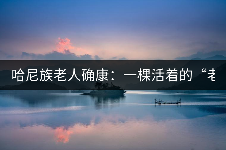 哈尼族老人確康:一棵活著的“老茶樹” 哈尼族老人確康:一棵活著的“老茶樹”