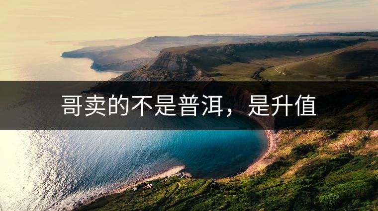 哥賣的不是普洱，是升值