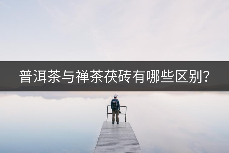 普洱茶與禪茶茯磚有哪些區(qū)別？