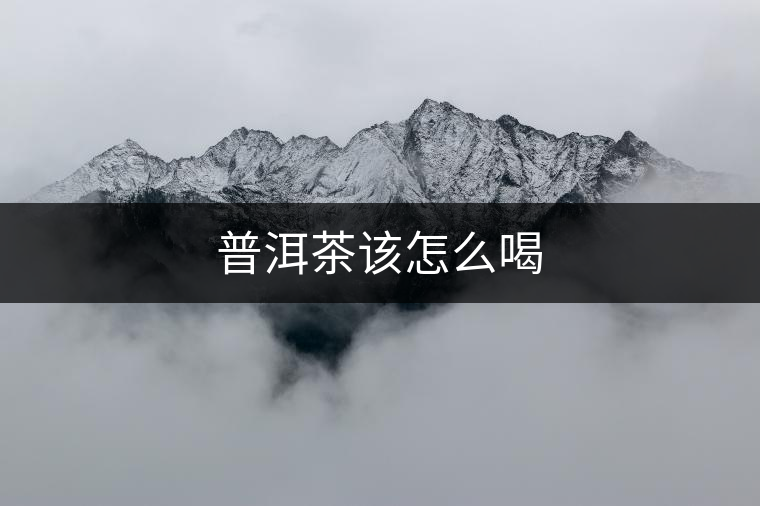 普洱茶該怎么喝