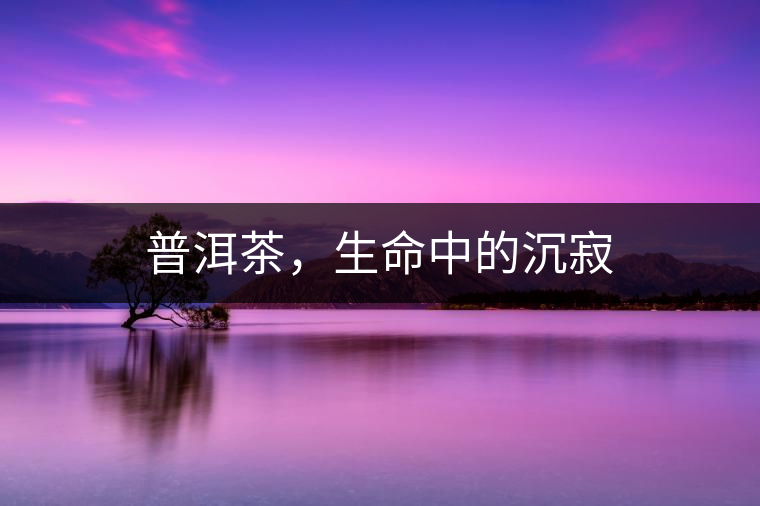 普洱茶，生命中的沉寂