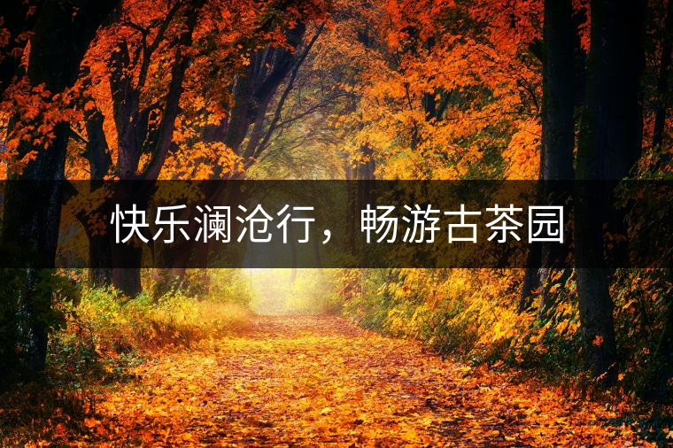 快樂瀾滄行，暢游古茶園