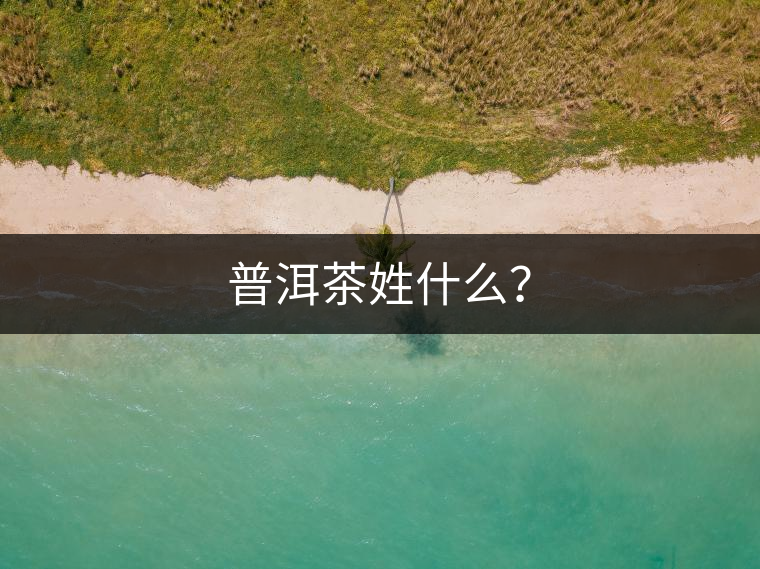 普洱茶姓什么？