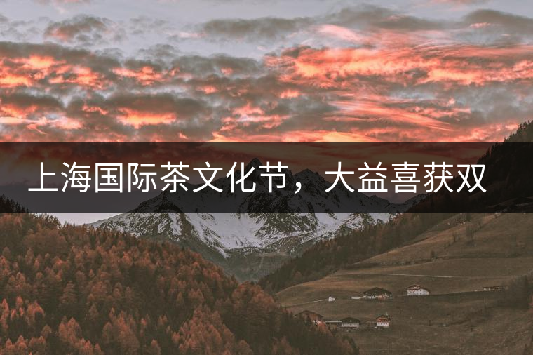 上海國際茶文化節(jié)，大益喜獲雙獎
