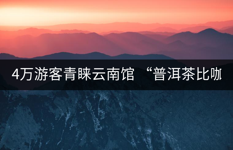 4萬游客青睞云南館 “普洱茶比咖啡good” 4萬游客青睞云南館 “普洱茶比咖啡good”