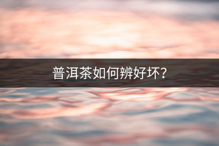 普洱茶如何辨好壞？