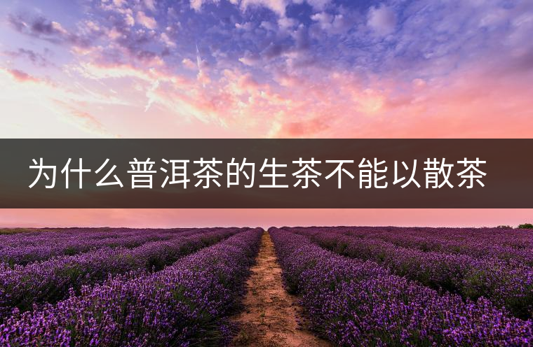 為什么普洱茶的生茶不能以散茶的方式存放 為什么普洱茶的生茶不能以散茶的方式存放