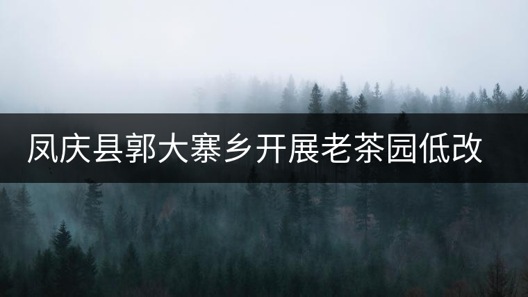 鳳慶縣郭大寨鄉(xiāng)開展老茶園低改促進茶園提質(zhì)增效 鳳慶縣郭大寨鄉(xiāng)開展老茶園低改促進茶園提質(zhì)增效