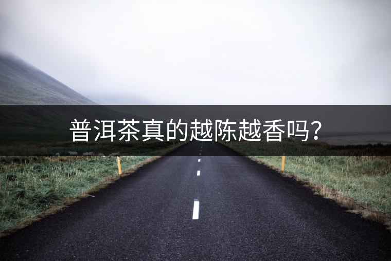 普洱茶真的越陳越香嗎？