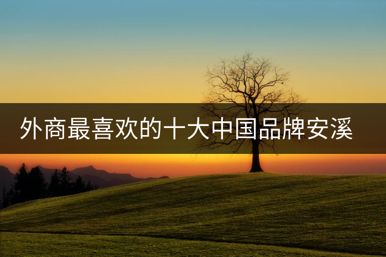 外商最喜歡的十大中國(guó)品牌安溪鐵觀音位居三甲 外商最喜歡的十大中國(guó)品牌安溪鐵觀音位居三甲