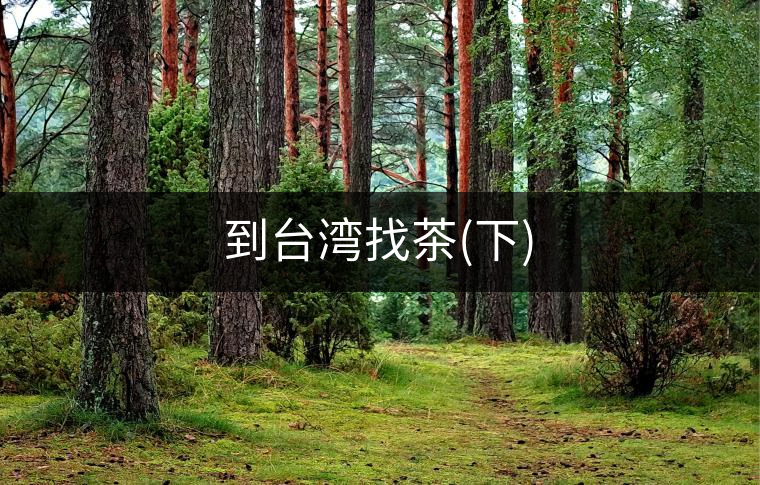 到臺灣找茶(下) 到臺灣找茶(下)