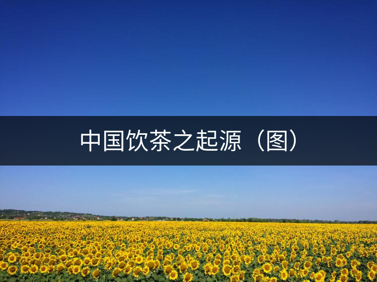 中國(guó)飲茶之起源（圖）