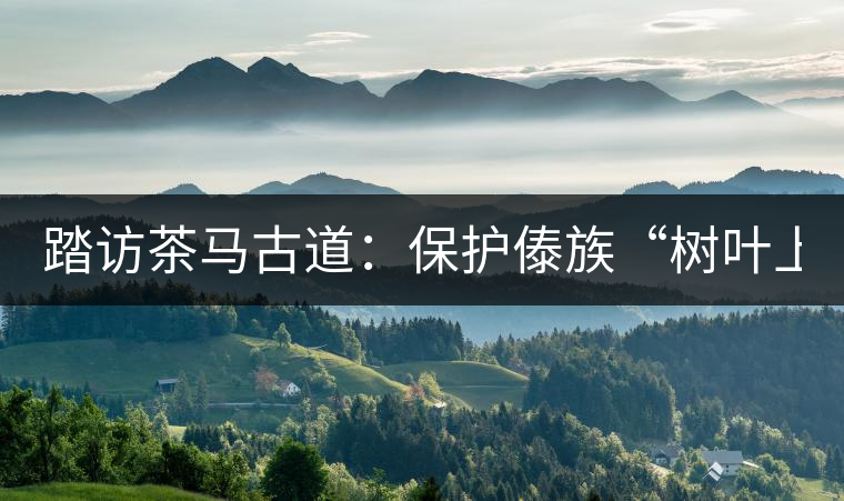 踏訪茶馬古道：保護(hù)傣族“樹葉上的文明”