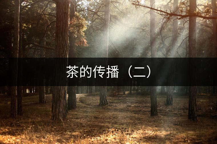茶的傳播（二）