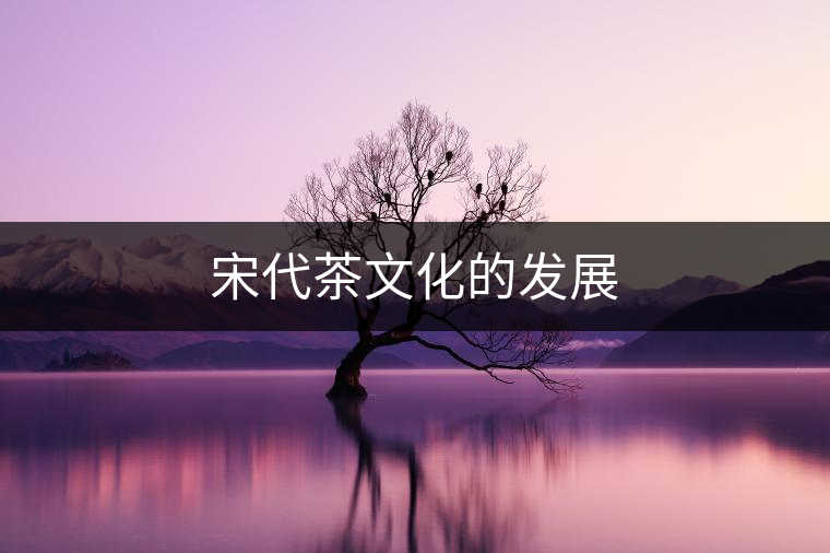 宋代茶文化的發(fā)展 宋代茶文化的發(fā)展