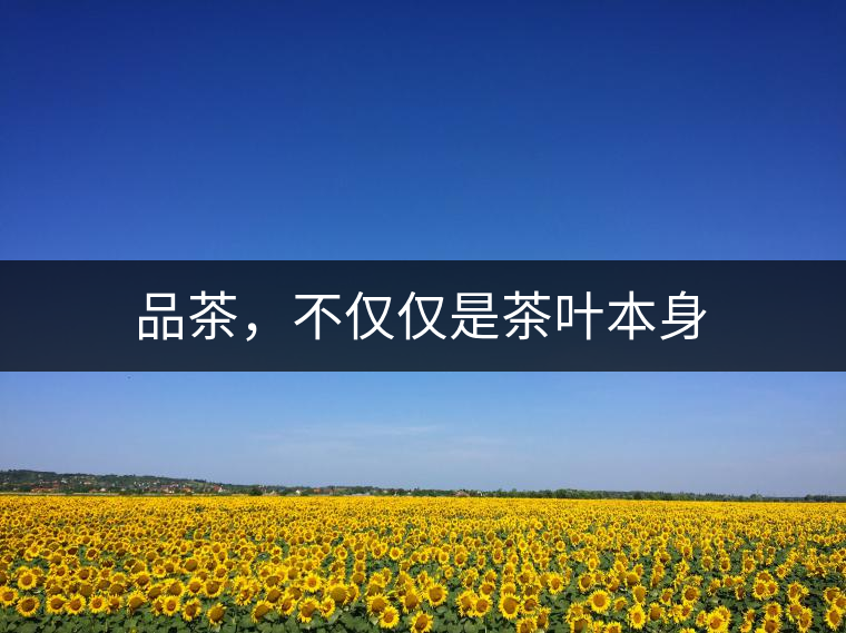 品茶,不僅僅是茶葉本身 品茶,不僅僅是茶葉本身
