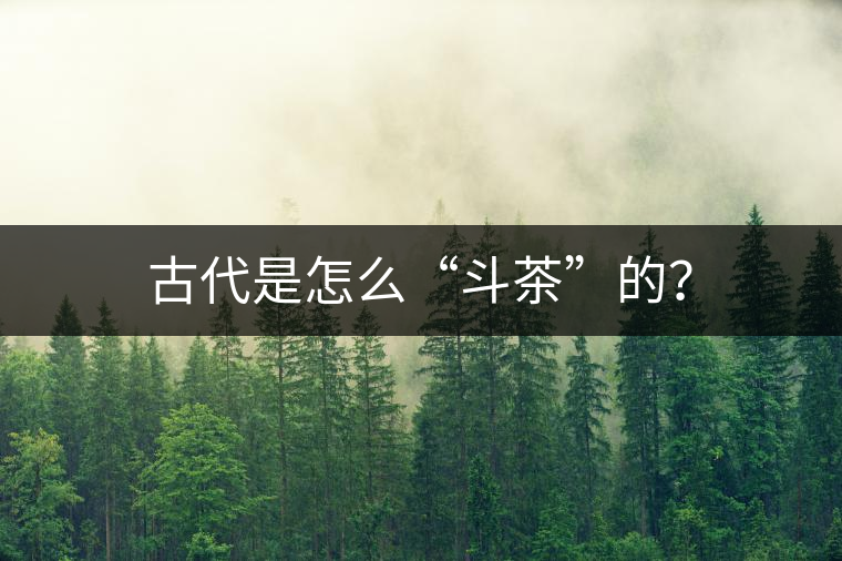 古代是怎么“斗茶”的？