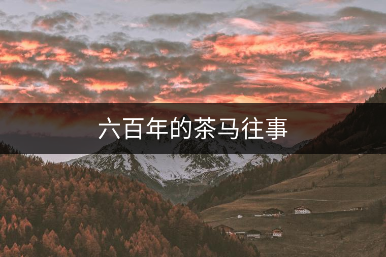 六百年的茶馬往事 六百年的茶馬往事