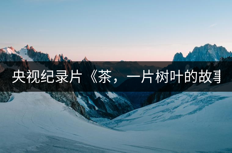 央視紀(jì)錄片《茶，一片樹葉的故事》紀(jì)錄片 昨晚開播