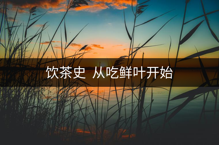 飲茶史 從吃鮮葉開始 飲茶史 從吃鮮葉開始