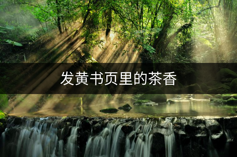 發(fā)黃書頁(yè)里的茶香 發(fā)黃書頁(yè)里的茶香