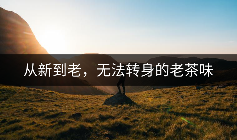 從新到老，無法轉(zhuǎn)身的老茶味