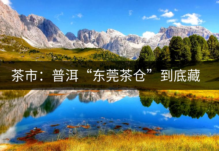 茶市：普洱“東莞茶倉(cāng)”到底藏給誰(shuí)喝？