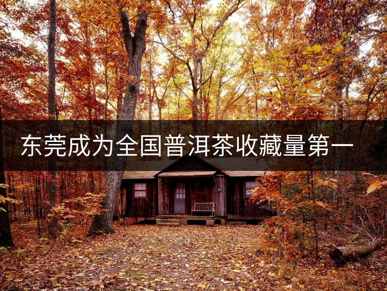 東莞成為全國普洱茶收藏量第一位的城市？