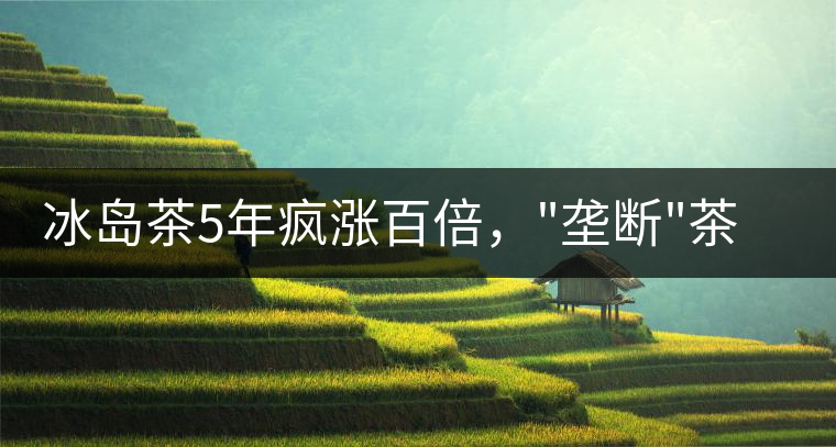 冰島茶5年瘋漲百倍，