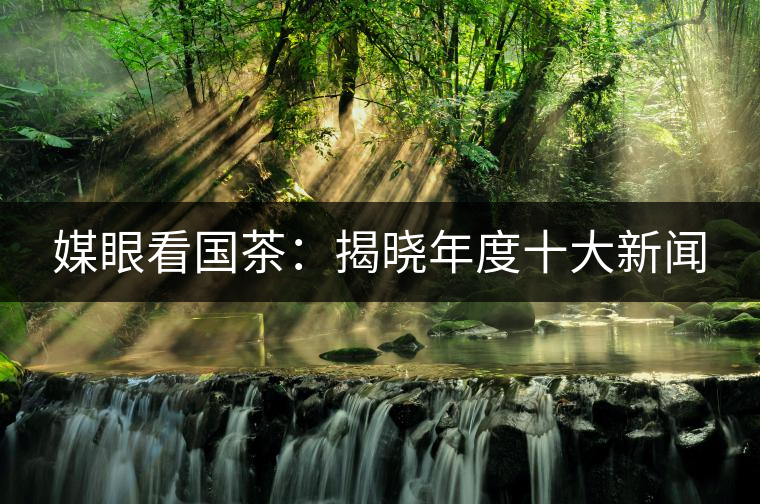 媒眼看國(guó)茶:揭曉年度十大新聞 媒眼看國(guó)茶:揭曉年度十大新聞