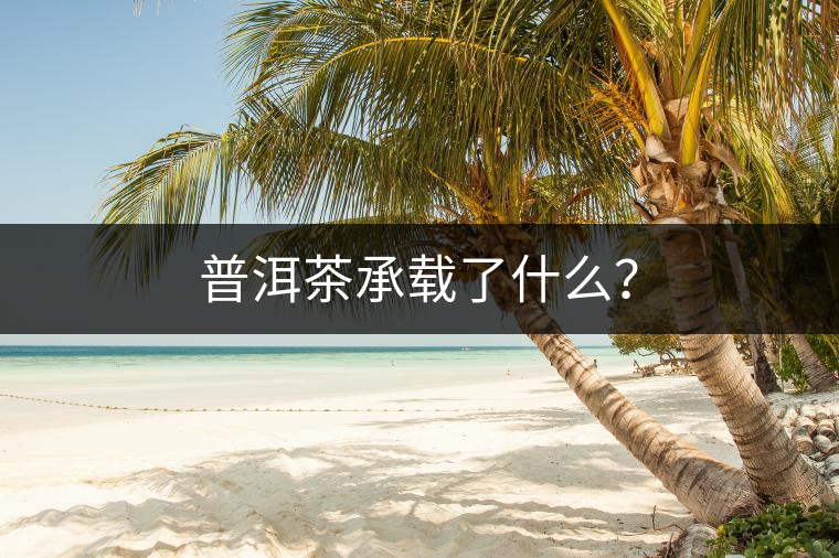 普洱茶承載了什么？