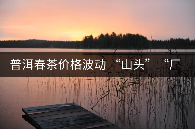 普洱春茶價(jià)格波動 “山頭”“廠貨”大不同——名山古樹  品的是歷史文化