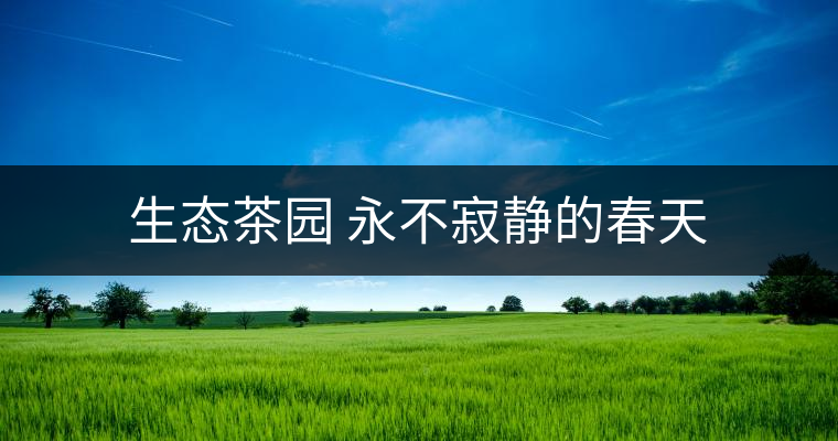 生態(tài)茶園 永不寂靜的春天 生態(tài)茶園 永不寂靜的春天