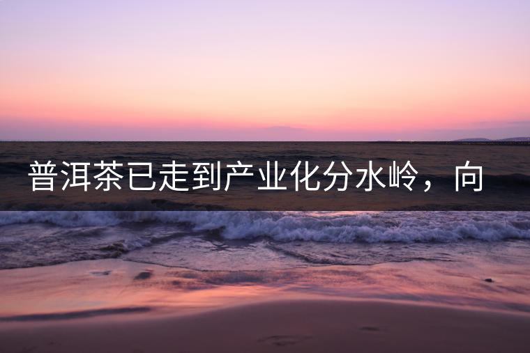 普洱茶已走到產(chǎn)業(yè)化分水嶺，向左還是向右？