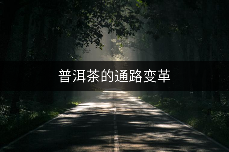 普洱茶的通路變革