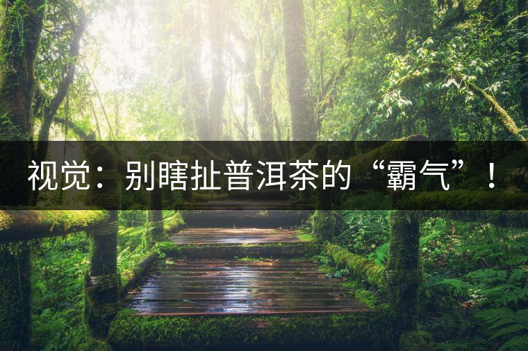 視覺：別瞎扯普洱茶的“霸氣”！偽大師！