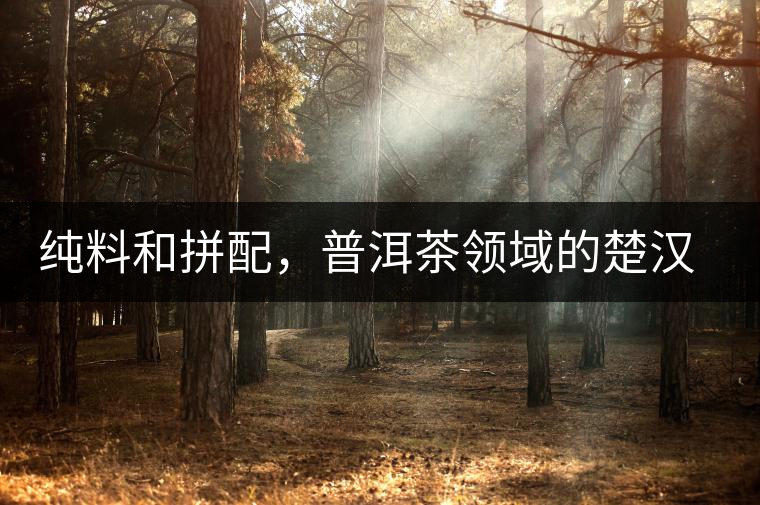 純料和拼配，普洱茶領(lǐng)域的楚漢之爭(zhēng)