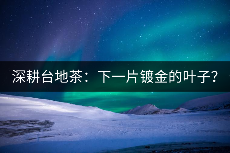 深耕臺(tái)地茶：下一片鍍金的葉子？