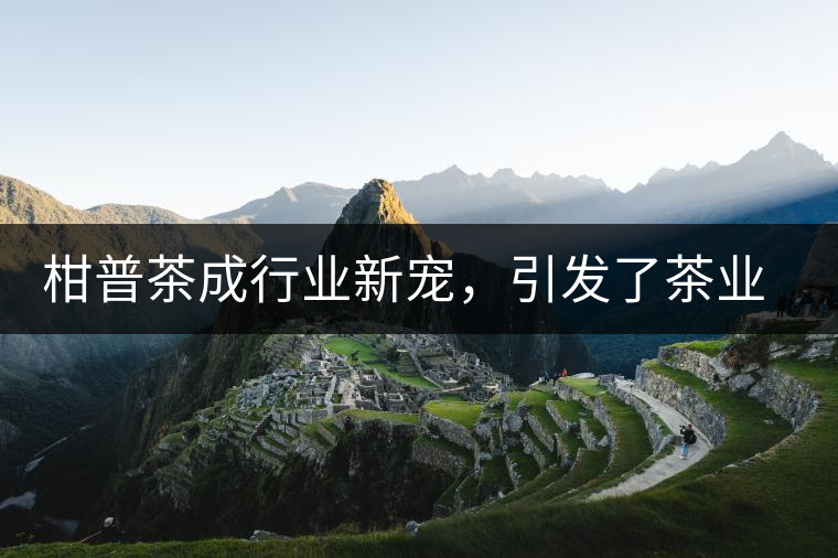 柑普茶成行業(yè)新寵，引發(fā)了茶業(yè)市場新的機(jī)遇與爆點