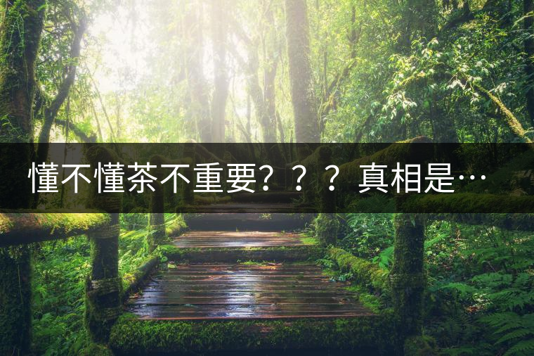 懂不懂茶不重要？？？真相是……