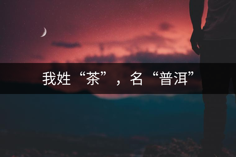 我姓“茶”，名“普洱”