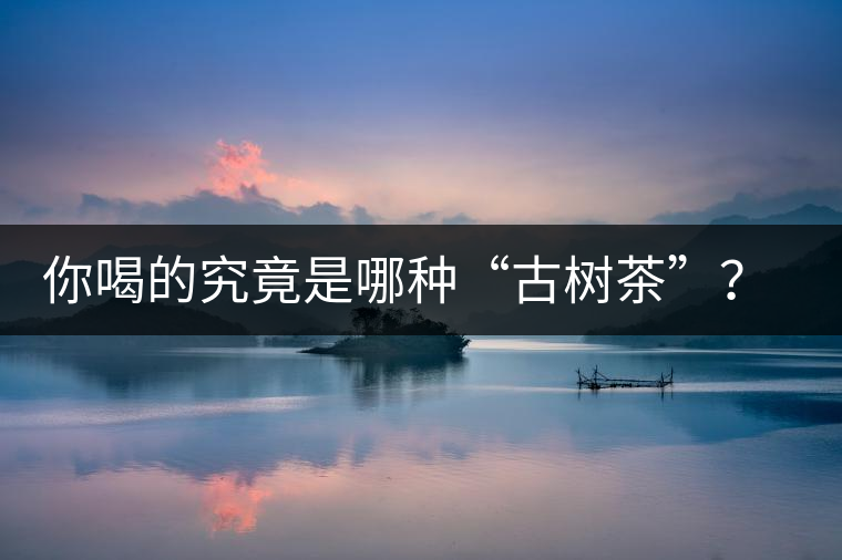 你喝的究竟是哪種“古樹茶”？（收茶必備知識）