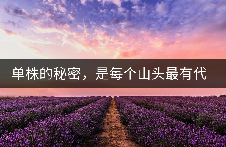 單株的秘密，是每個山頭最有代表性的味道？