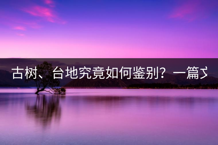 古樹、臺(tái)地究竟如何鑒別？一篇文章說透！