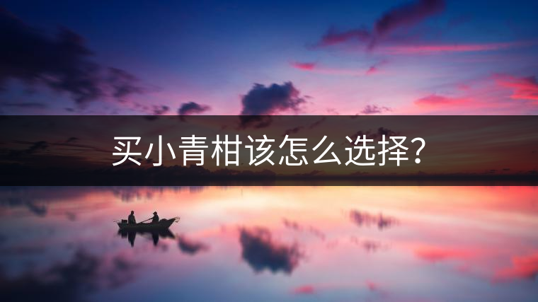 買(mǎi)小青柑該怎么選擇？