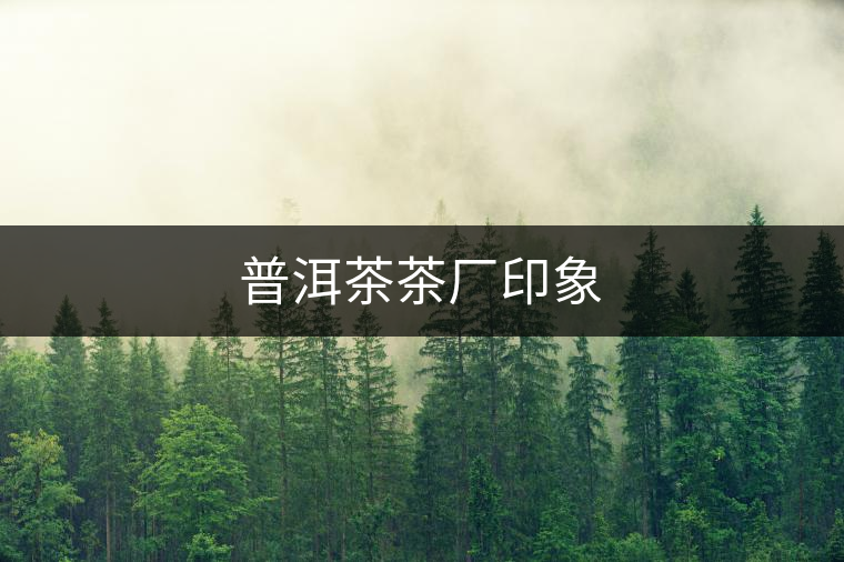 普洱茶茶廠印象