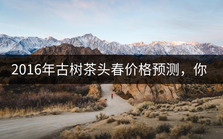 2016年古樹茶頭春價(jià)格預(yù)測(cè)，你怎么看？