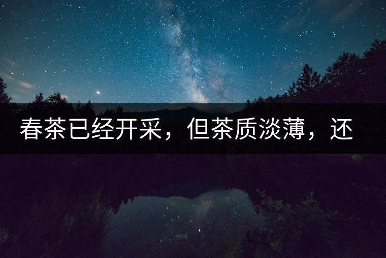 春茶已經(jīng)開采，但茶質(zhì)淡薄，還需一兩周