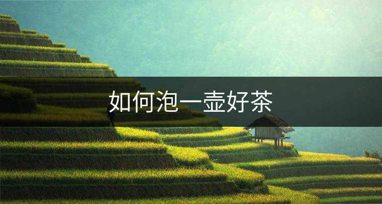 如何泡一壺好茶