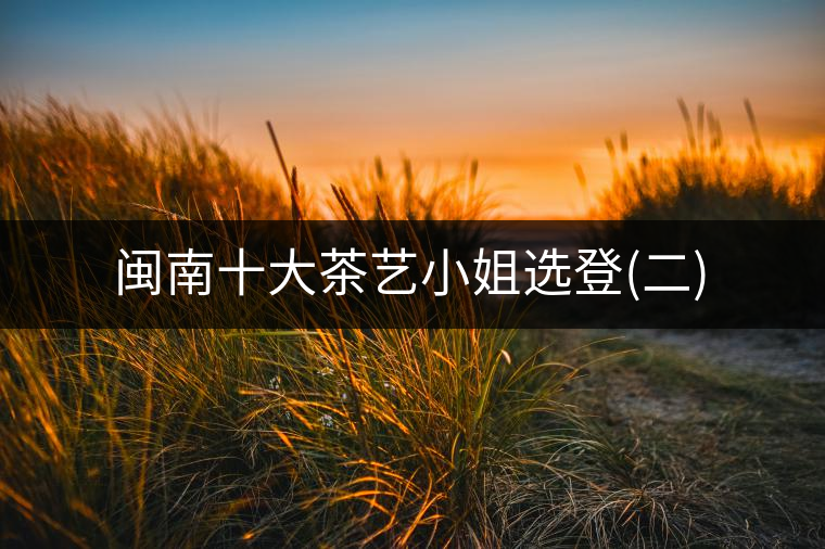 閩南十大茶藝小姐選登(二)